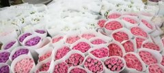 <b>“鲜花经济”终身花！我国花草海外商业持续增</b>